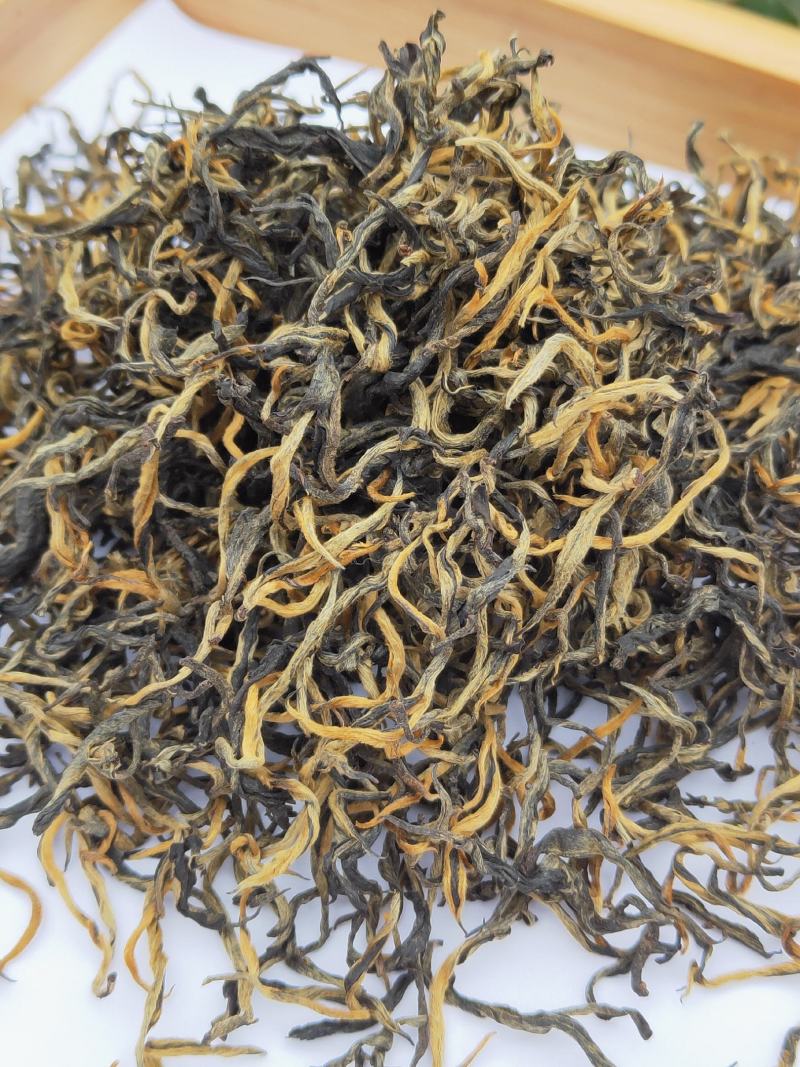 英德红茶英红九号春茶高香型红茶
