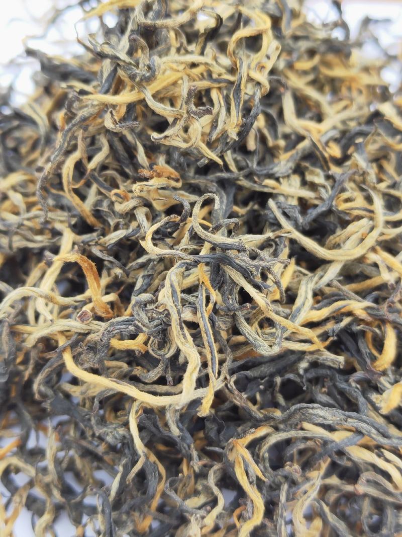 英德红茶英红九号春茶高香型红茶
