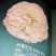 康乃馨盆栽种苗晴沙佳人红衣等等,红衣切花康乃馨种苗