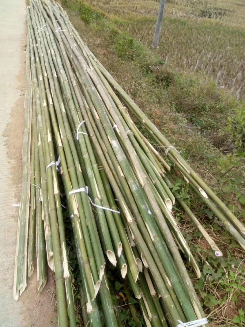 大量出售各种规格竹竿