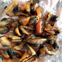海虹干淡菜干干度足干，靓货干净无杂质一手货源支持一件代发