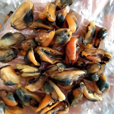 海虹干淡菜干干度足干，靓货干净无杂质一手货源支持一件代发