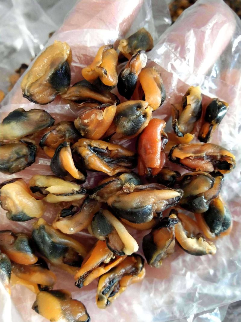 海虹干淡菜干干度足干，靓货干净无杂质一手货源支持一件代发