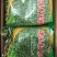 速冻青豌豆蔬菜什锦菜可视频看货,大量现货商超社区