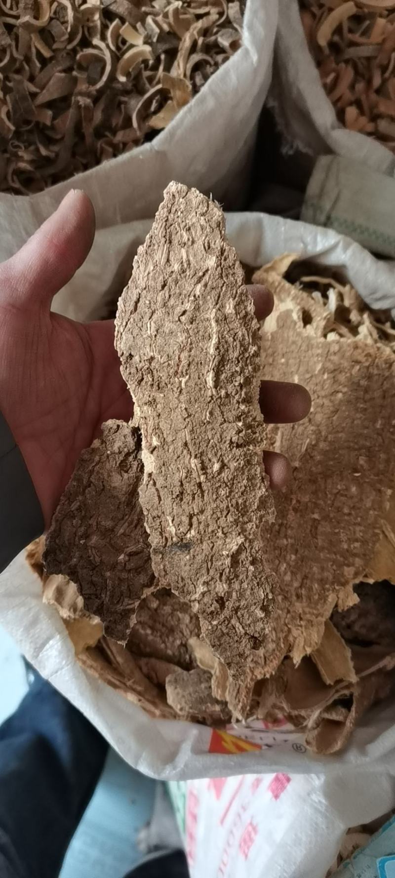 椿皮椿根皮椿皮椿白皮椿臭椿皮椿根冷背中药材带抓药