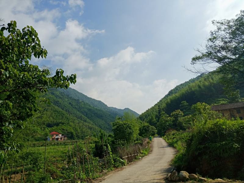 深山百花蜜，大自然的增品，江西深山野花蜜