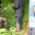 河北省唐山市滦南县精品8398晚甘蓝