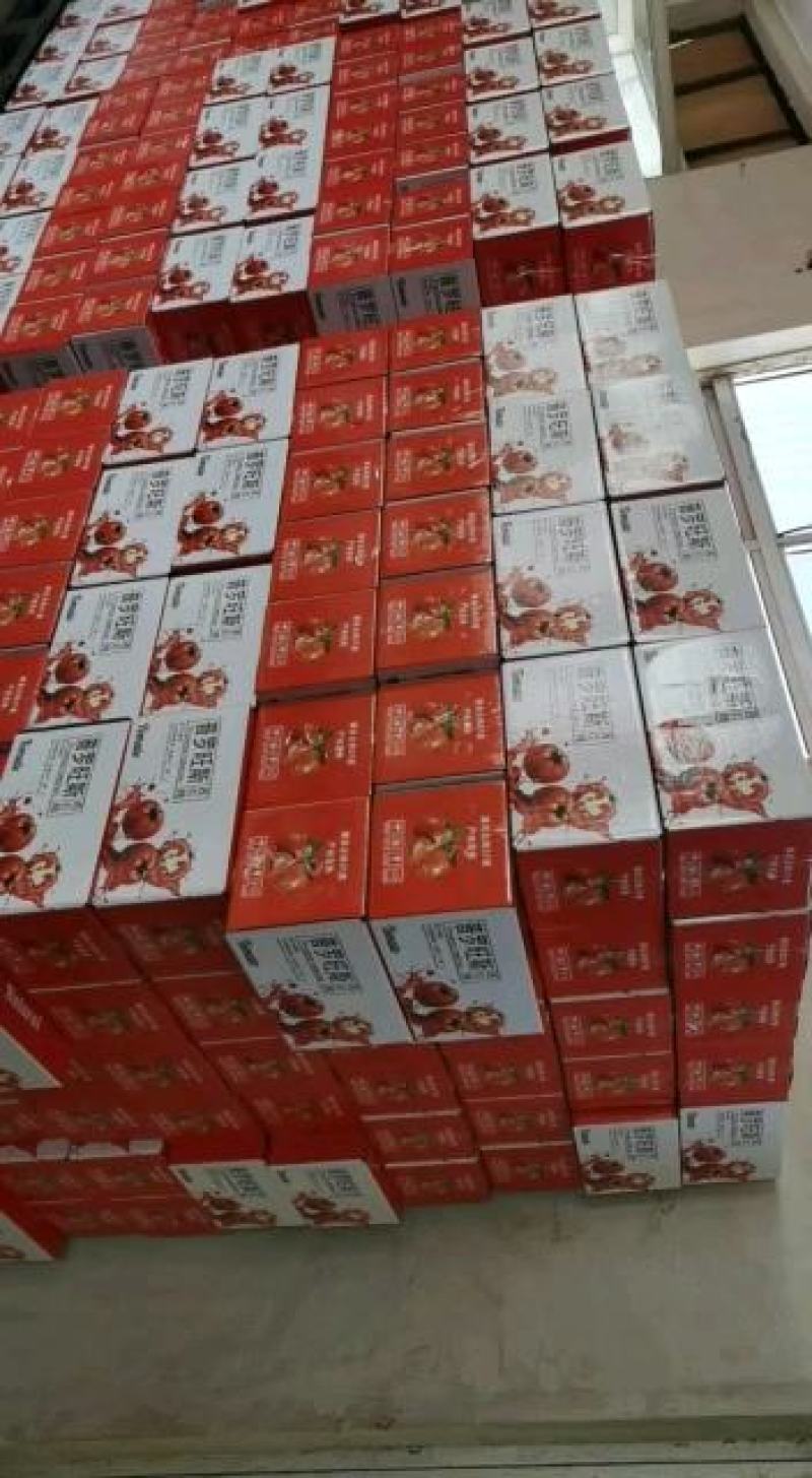 【热卖中】正宗海阳普罗旺斯西红柿，团购，品质有保障