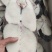 马鲛鱼马鲛马鲛马鲛马鲛马鲛马鲛