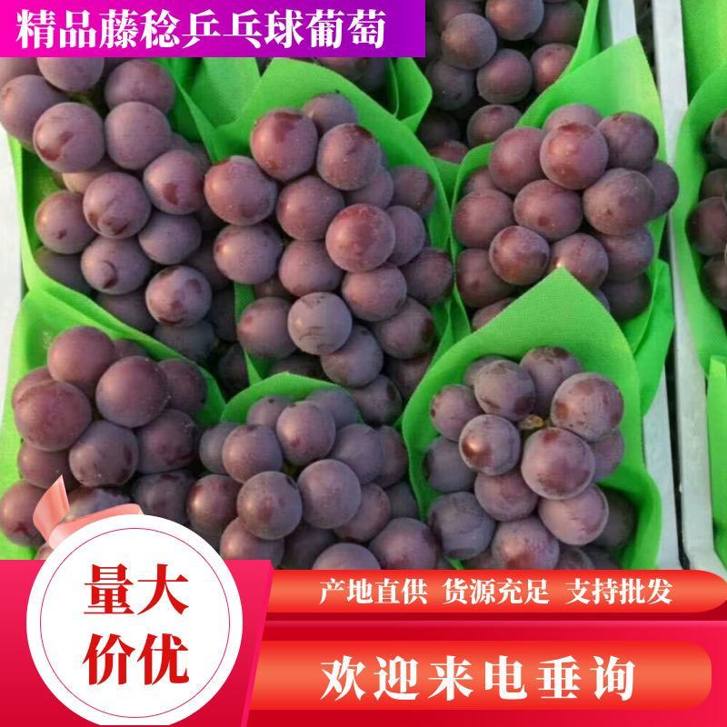 精品乒乓球葡萄，串行好，口感好，多肉多汁，大量上市