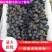 紫甜无核A17黑加仑葡萄个大粉好货源充足