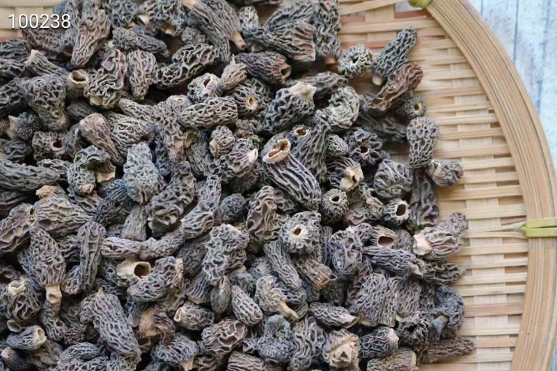 野生羊肚菌巴基斯坦羊肚菌小个头纯野生干活