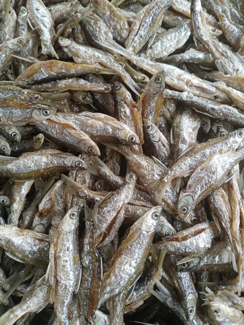 盐干鱼，蓝刀鱼，白消鱼，翘嘴鱼