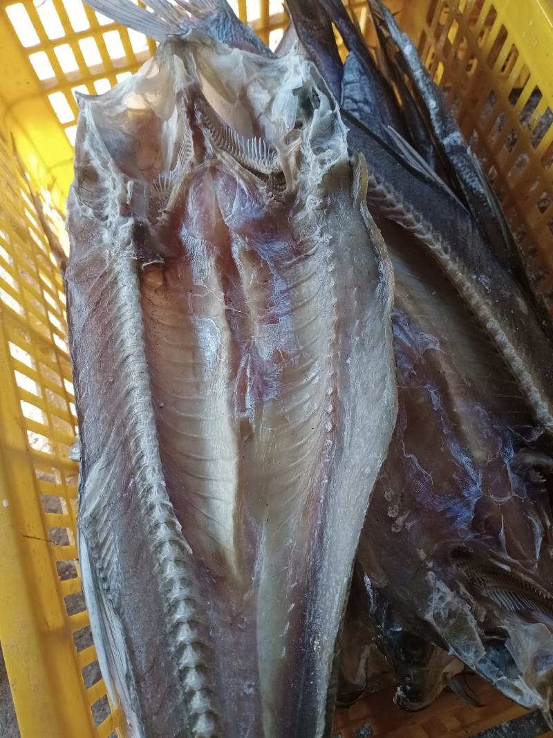 盐干鱼，蓝刀鱼，白消鱼，翘嘴鱼