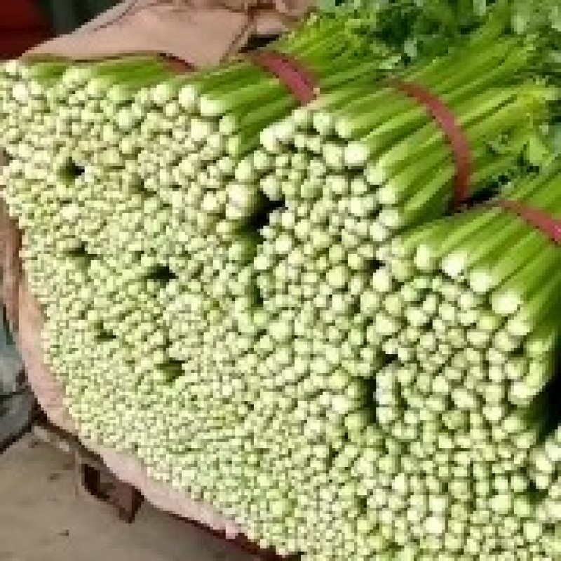 芹菜，优质芹菜，精品芹菜，产地直供，货源充足！