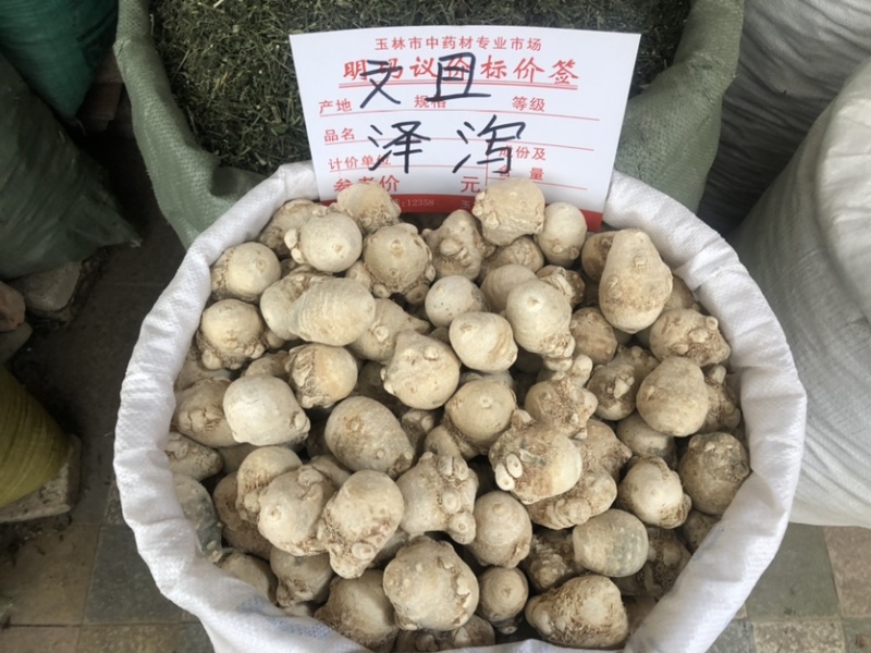 广西产地泽泻也叫文且，产地直销，价格实惠，欢迎联系我们