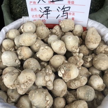 广西产地泽泻也叫文且，产地直销，价格实惠，欢迎联系我们