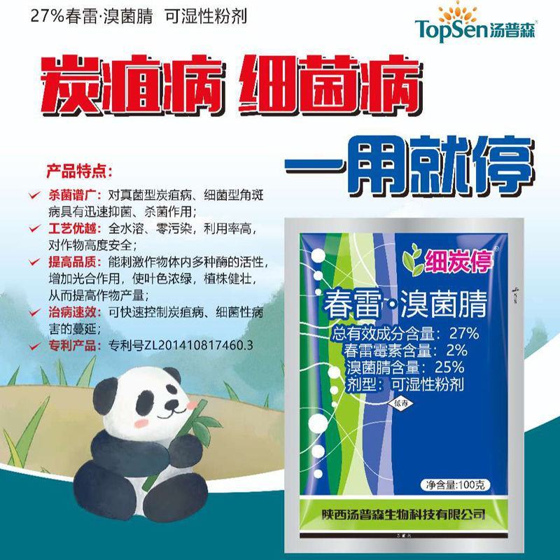 细炭停春雷溴菌腈金橘芒果树黄瓜观赏菊花黄瓜炭疽病细菌性角