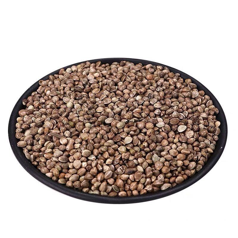 中药材火麻仁火麻仁茶火麻子火麻籽包邮有