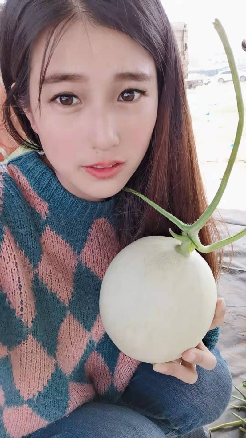 玉姑甜瓜冰清玉姑玉菇蜜瓜冰淇淋瓜各类规格专业代收