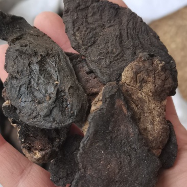 生地黄生地片河南货无硫各种中药材批发带抓药方