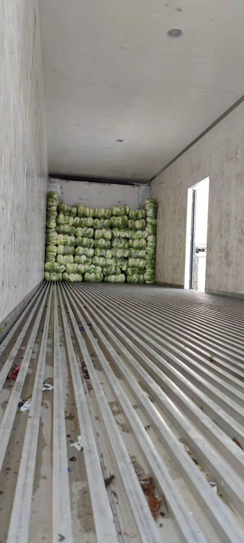 刚上市黄心白菜矮棵3456斤0.45包上车直量好