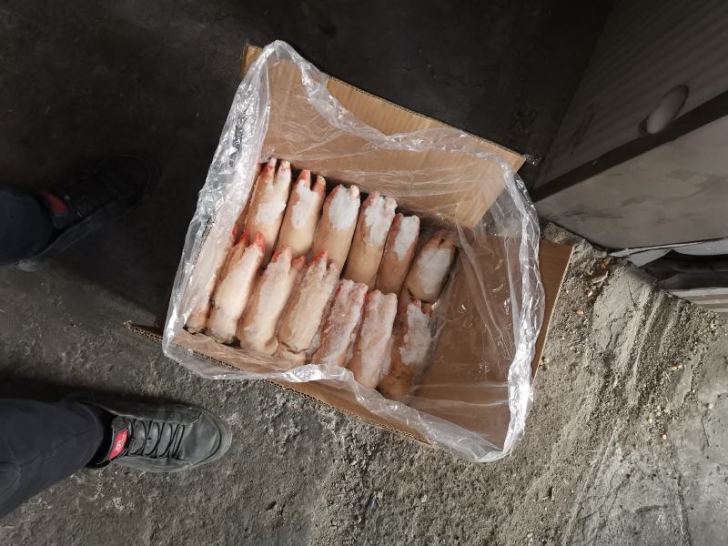猪大肠头，肚，尾吧！批发猪产品猪手，肉皮，各种猪肚产品