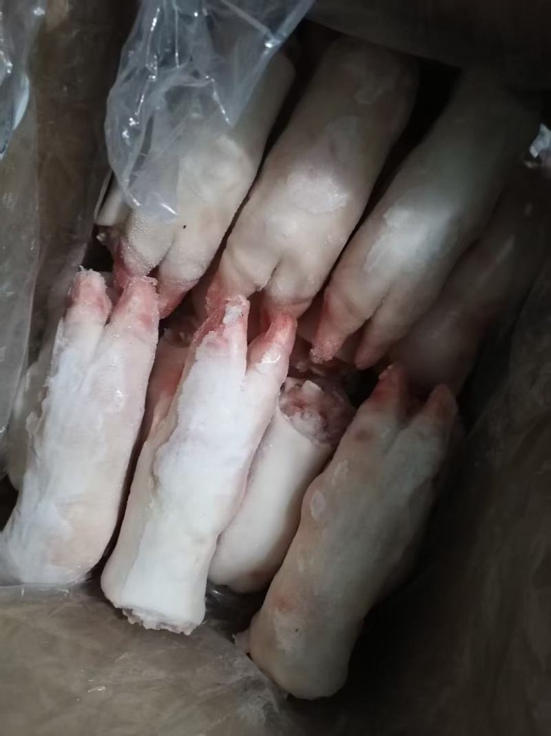 猪大肠头，肚，尾吧！批发猪产品猪手，肉皮，各种猪肚产品