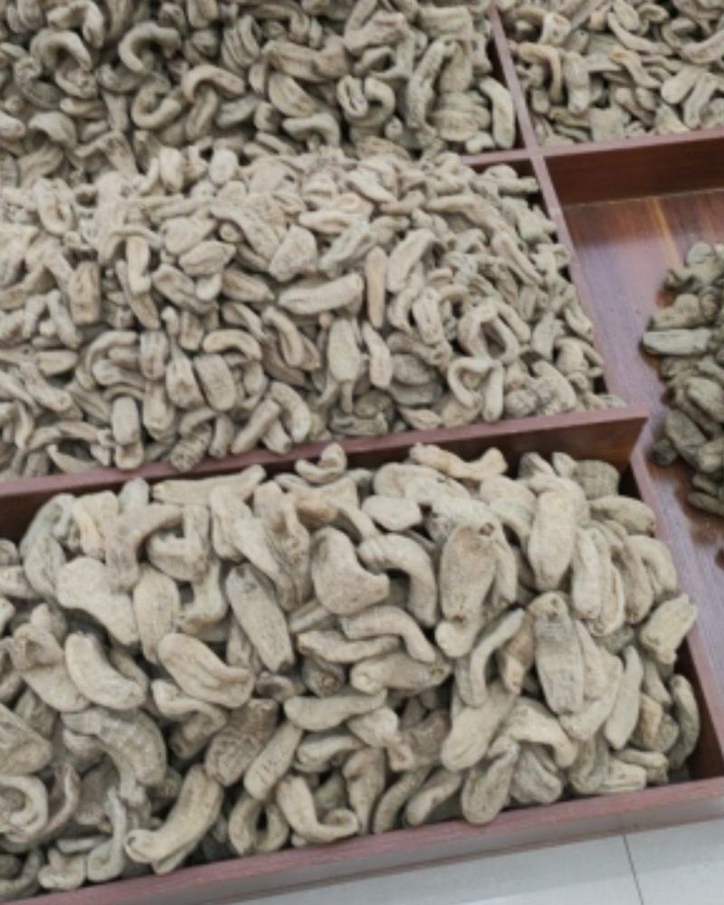云南昭通天麻16头的基地直发，量大从优欢迎客商咨询