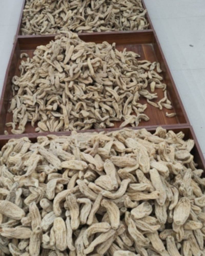 云南昭通天麻16头的基地直发，量大从优欢迎客商咨询
