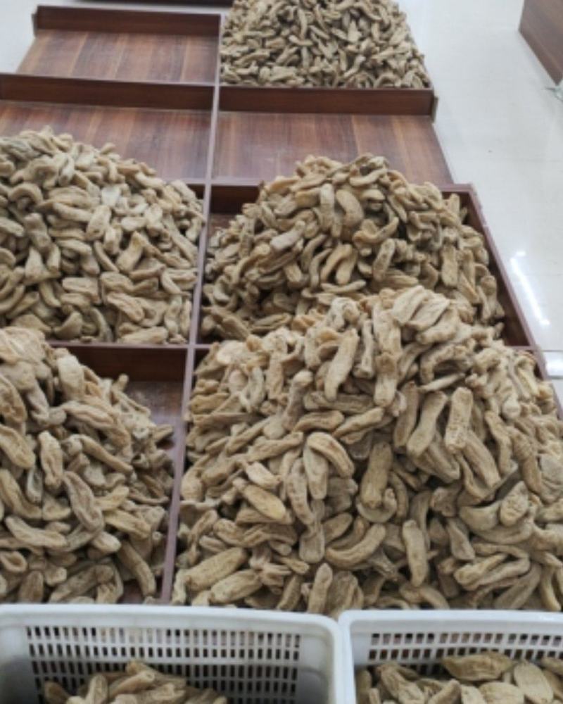 云南昭通天麻16头的基地直发，量大从优欢迎客商咨询