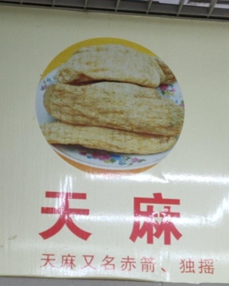 云南昭通天麻16头的基地直发，量大从优欢迎客商咨询