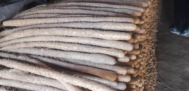 正宗的铁棍山药，鲜的铁棍山药货，货源充足，以质论价