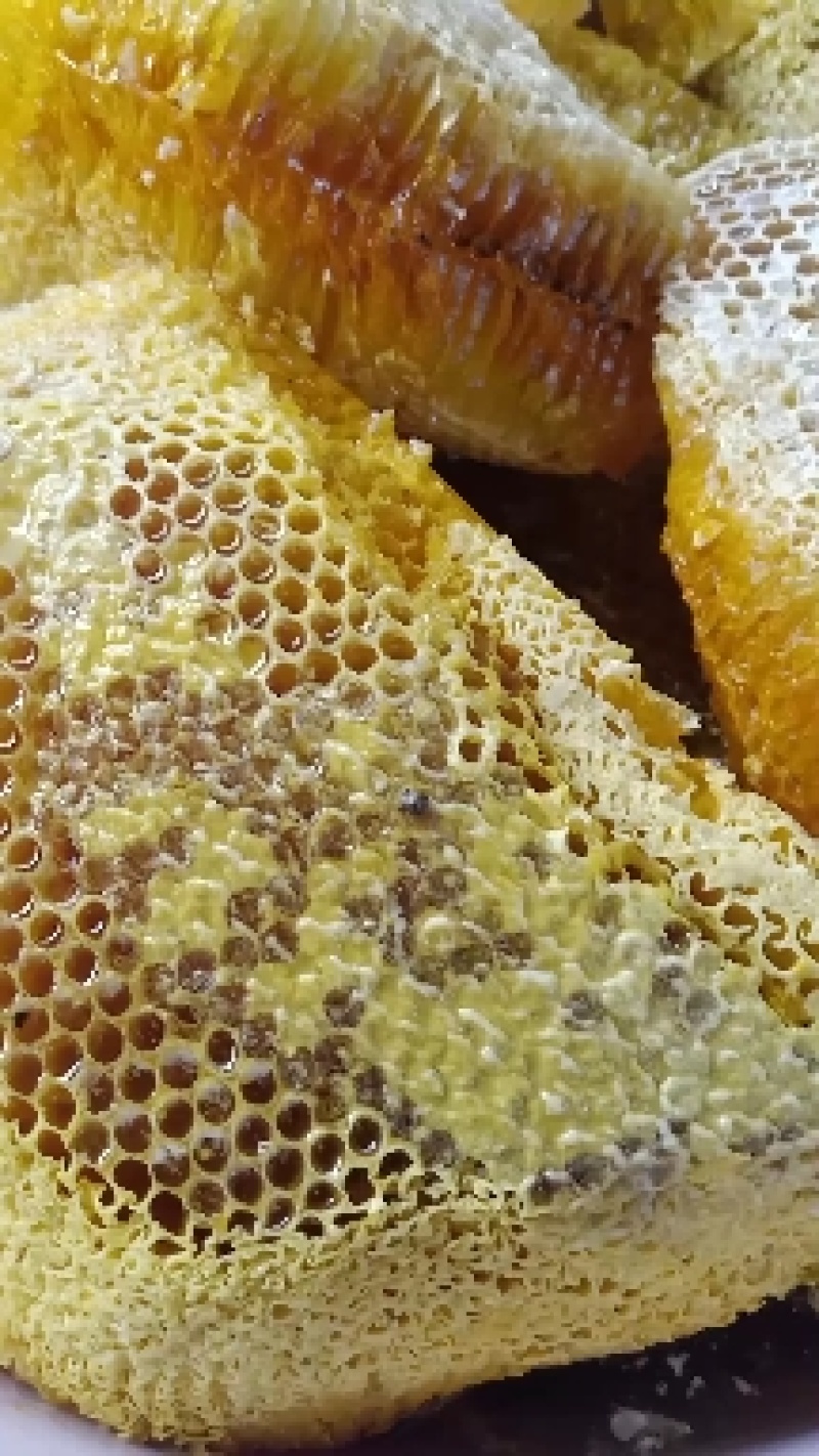 云南普洱野生蜂蜜_大挂蜂蜜大排蜜马叉蜜