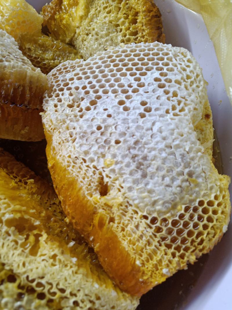 云南普洱野生蜂蜜_大挂蜂蜜大排蜜马叉蜜