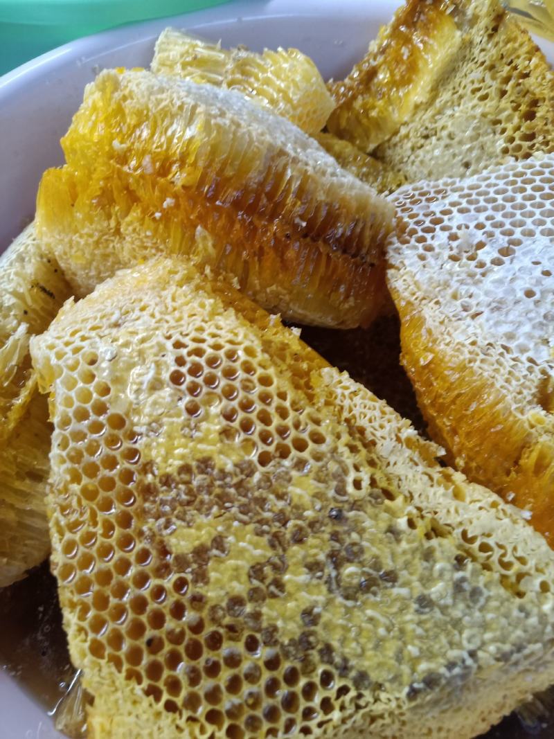 云南普洱野生蜂蜜_大挂蜂蜜大排蜜马叉蜜