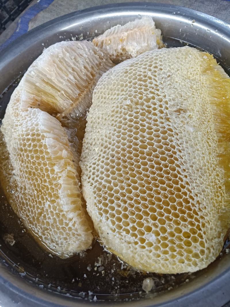 云南普洱野生蜂蜜_大挂蜂蜜大排蜜马叉蜜