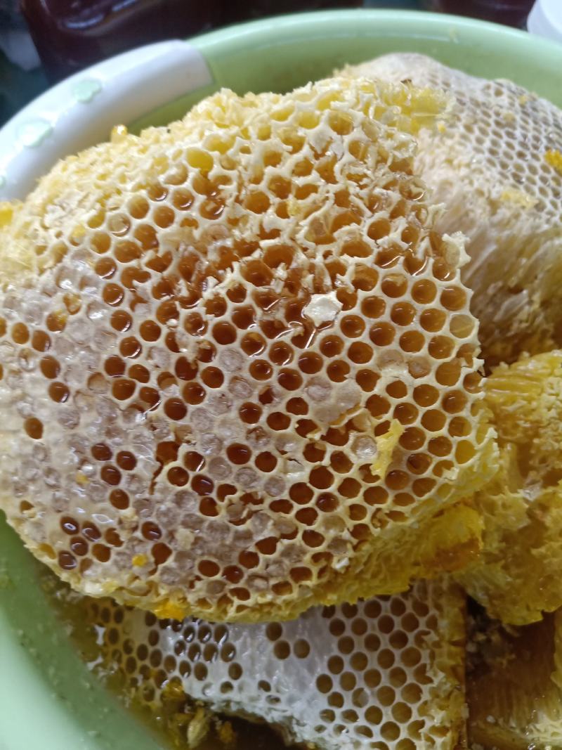 云南普洱野生蜂蜜_大挂蜂蜜大排蜜马叉蜜