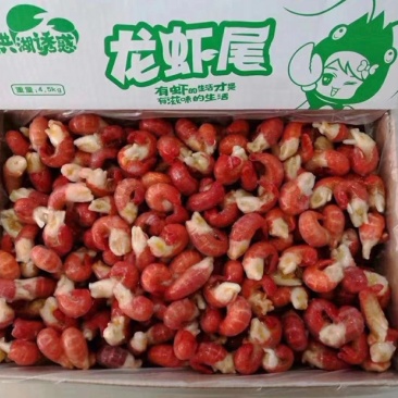 龙虾尾液氮速冻冰冻小龙虾虾尾虾球特级虾尾批发