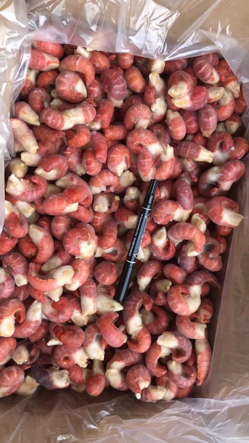 龙虾尾液氮速冻冰冻小龙虾虾尾虾球特级虾尾批发