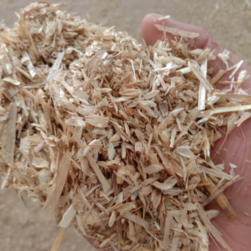 各种精品碎麦子，麦土，麦毛，碎麦子，闭麦子，水洗麦子等