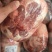 【羊后腿】肉内蒙锡林浩特本地羔羊后腿包纯干，纯散养羊，