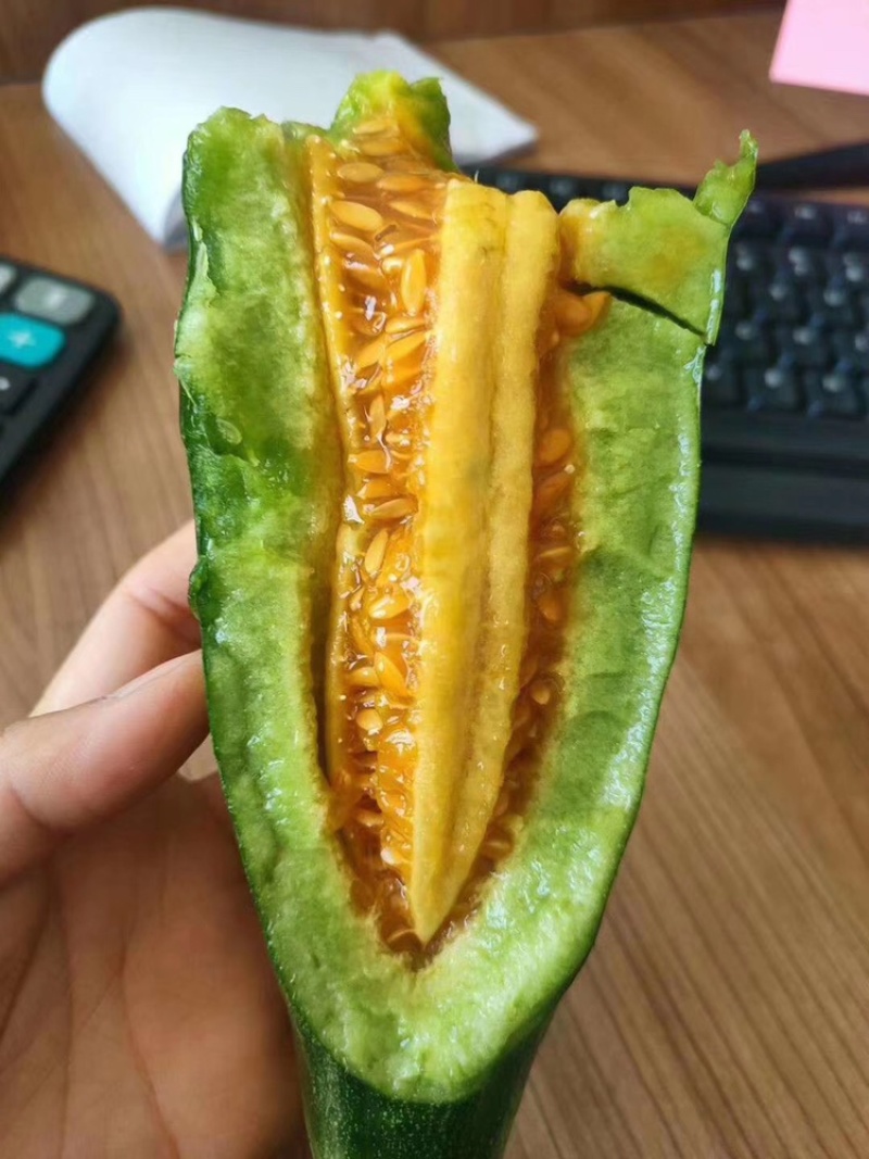 山东羊角蜜，博洋9大量上市中
