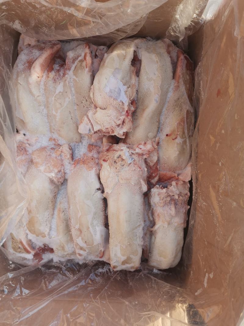 猪大肠头，肚，尾吧！批发猪产品猪手，肉皮，各种猪肚产品