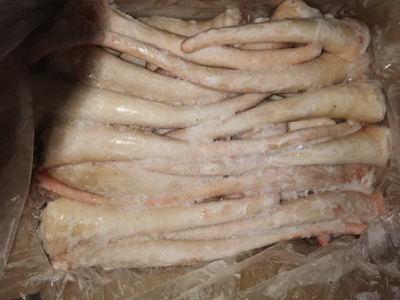 猪大肠头，肚，尾吧！批发猪产品猪手，肉皮，各种猪肚产品
