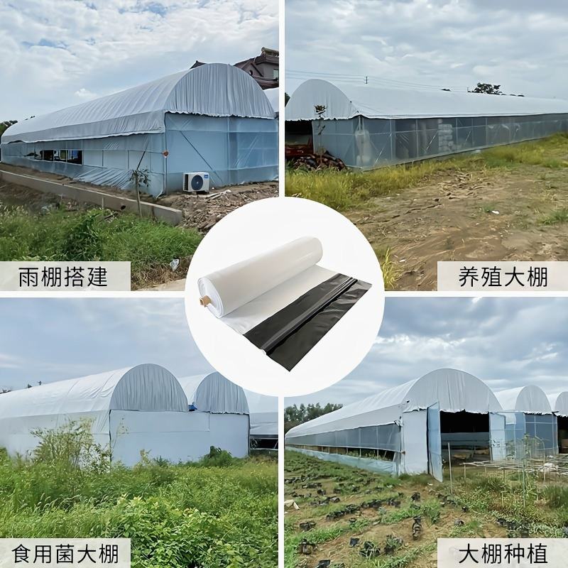 黑白大棚膜养殖膜、菌菇养殖棚膜、储青覆盖膜