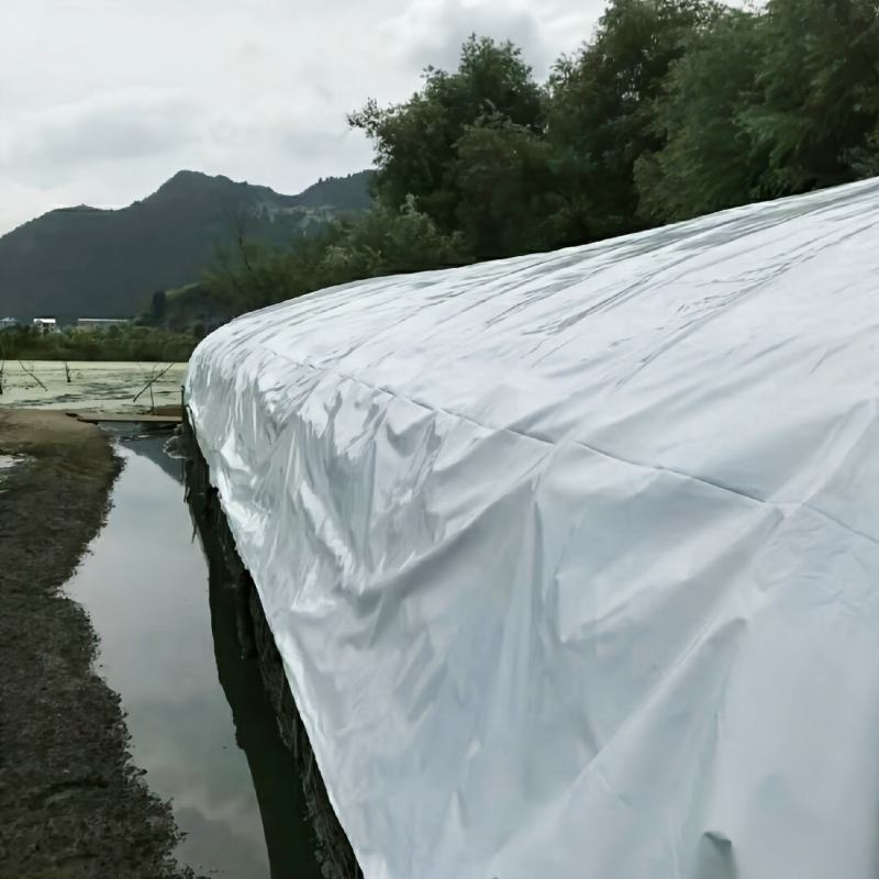 黑白大棚膜养殖膜、菌菇养殖棚膜、储青覆盖膜