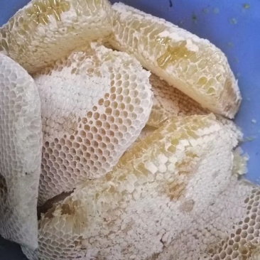 纯野生冬蜜存货还有几十斤。品质保证口感好需要的朋友放心购