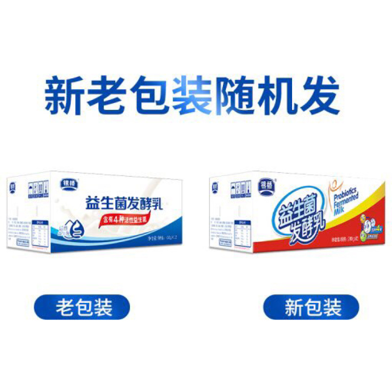 【全运会指定乳品】银桥活性益生菌酸奶整箱200g*12盒