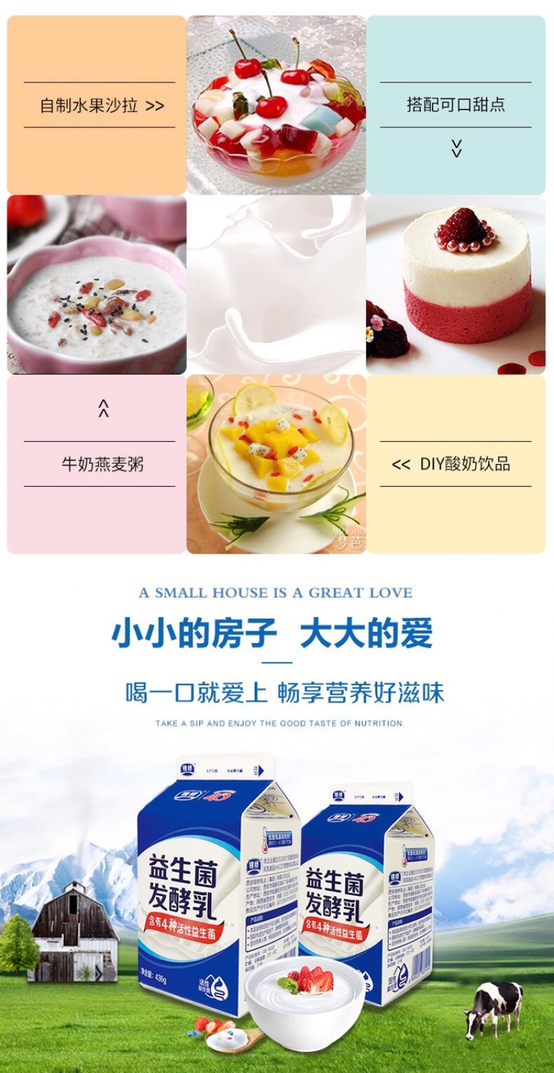 【全运会指定乳品】银桥活性益生菌酸奶整箱200g*12盒